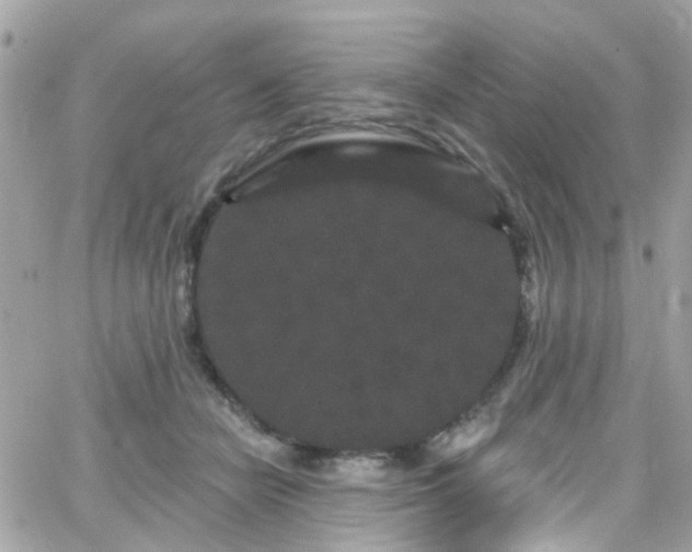 X0000066530462200603241406