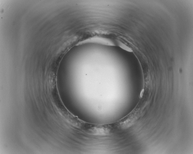 X0000066530464200603241406