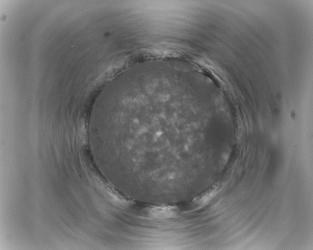 X0000066530465200603241406