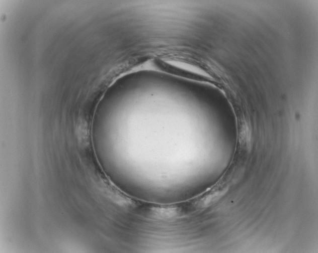 X0000066530469200603241406