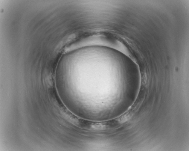 X0000066530470200603241406