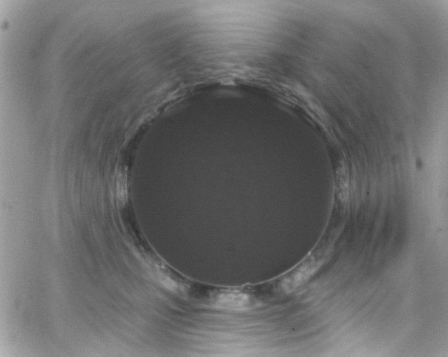 X0000066530471200603241406