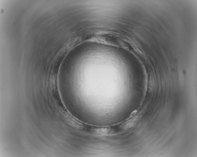 X0000066530473200603241406