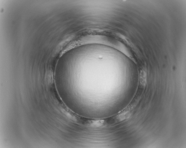 X0000066530474200603241406