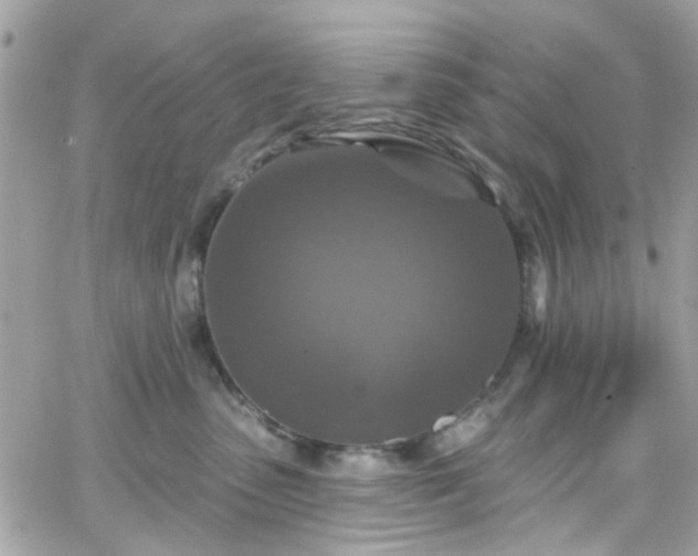 X0000066530475200603241406