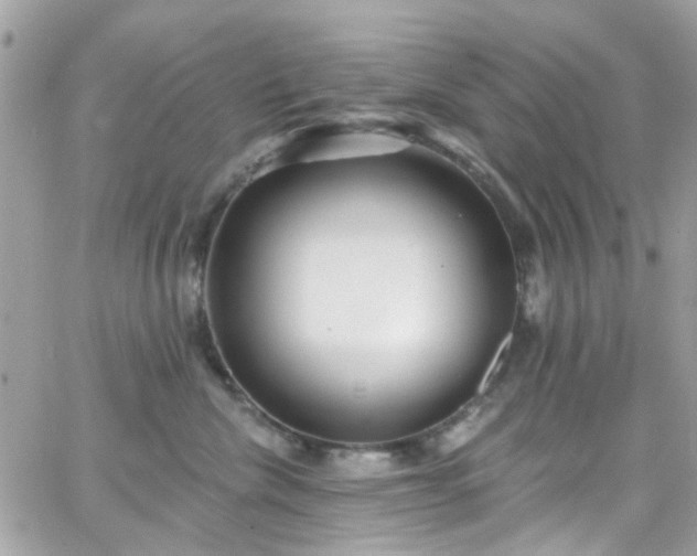 X0000066530476200603241406