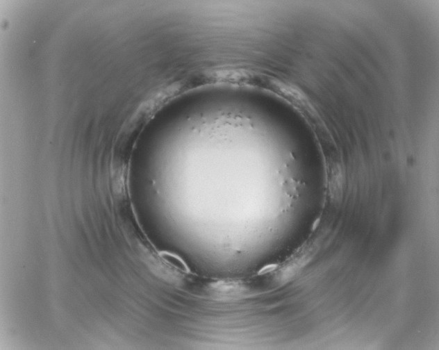 X0000066530477200603241406