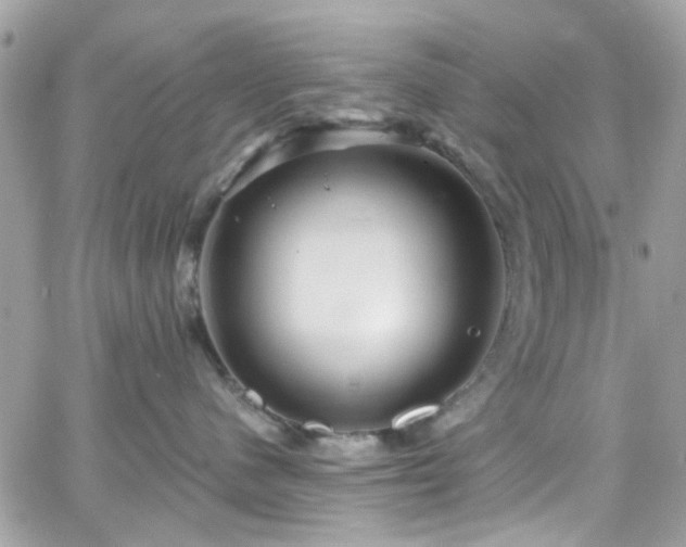 X0000066530480200603241406