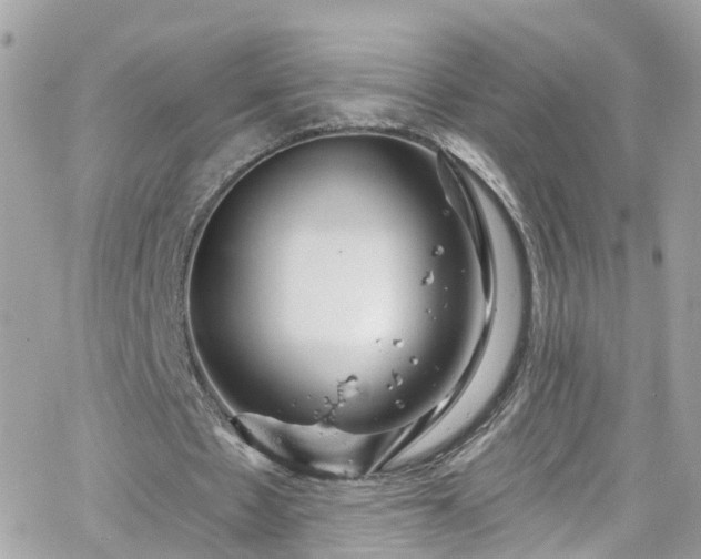 X0000066530481200603241405