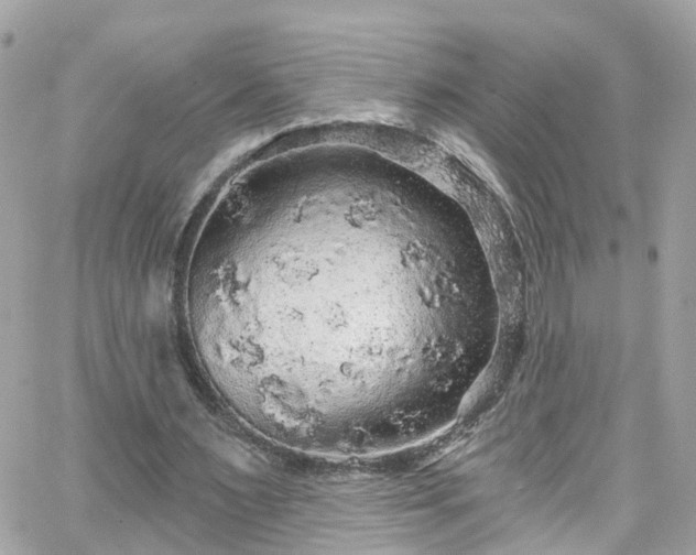 X0000066530483200603241405