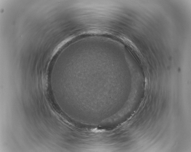 X0000066530484200603241405