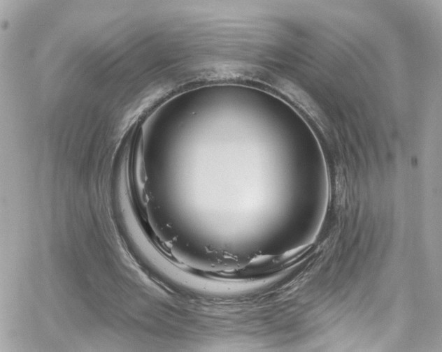 X0000066530485200603241405