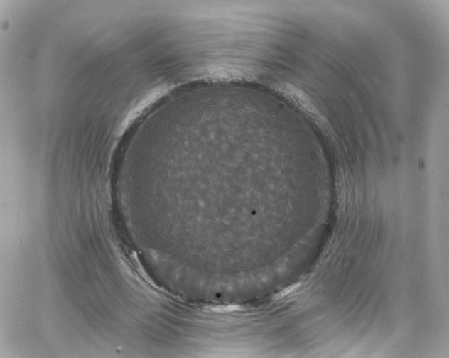 X0000066530488200603241405