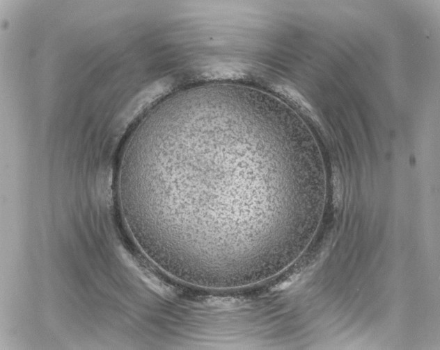 X0000066530490200603241405