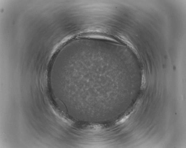 X0000066530492200603241405