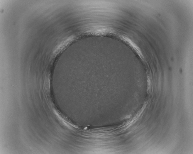 X0000066530493200603241405