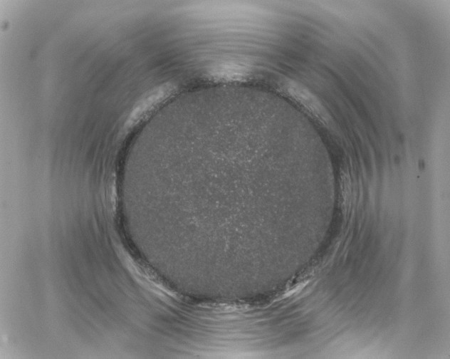 X0000066530494200603241405