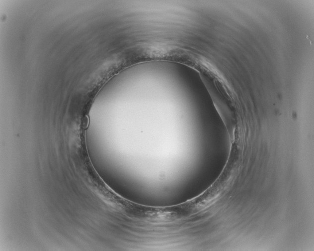 X0000066530497200603241405