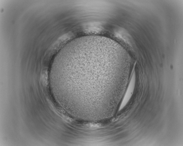 X0000066530498200603241405