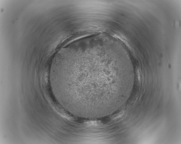 X0000066530499200603241405