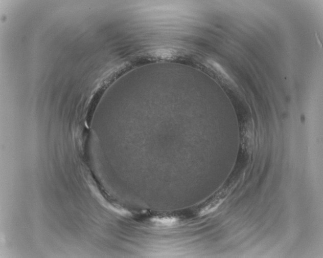 X0000066530500200603241405