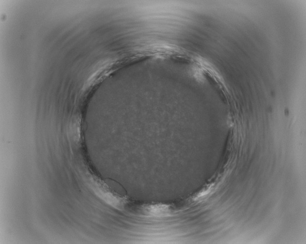 X0000066530501200603241405