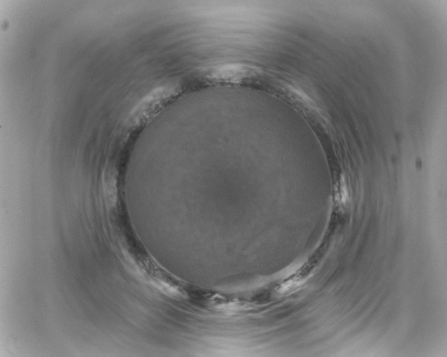 X0000066530504200603241405