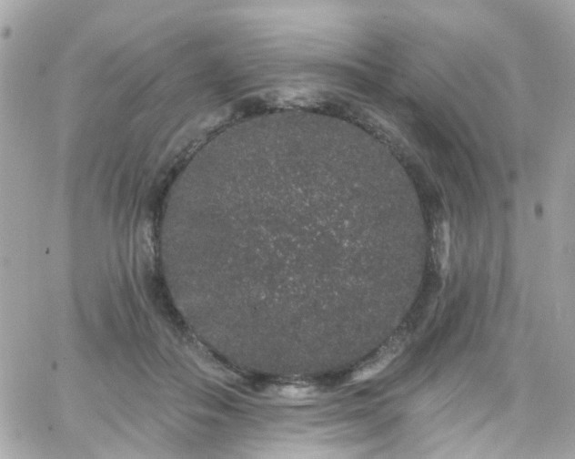 X0000066530506200603241405