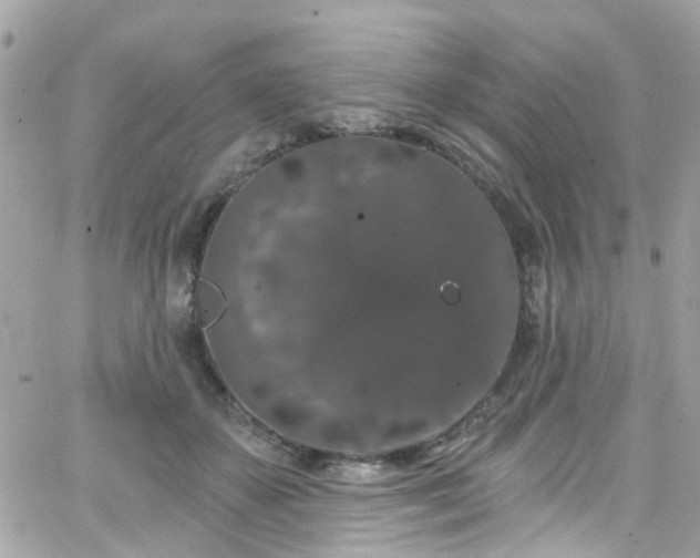 X0000066530507200603241405