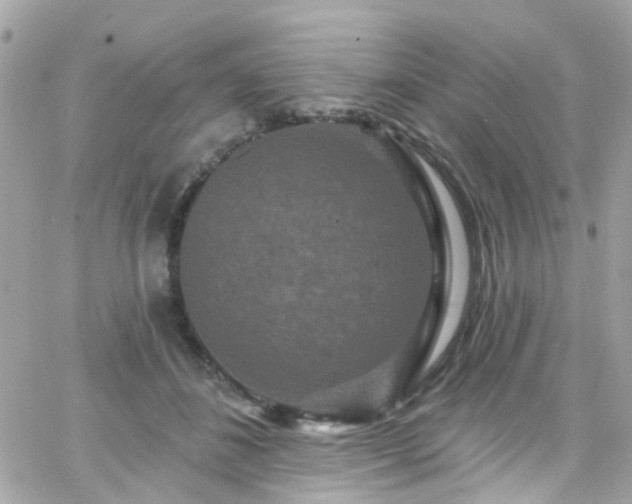 X0000066530508200603241405