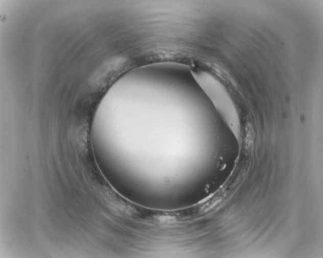 X0000066530509200603241405