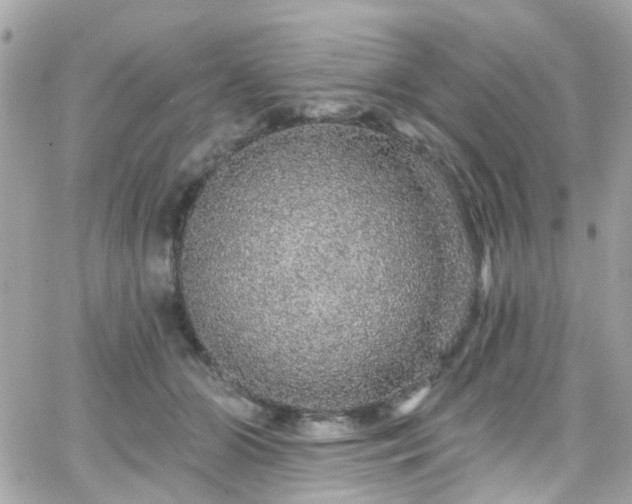 X0000066530510200603241405