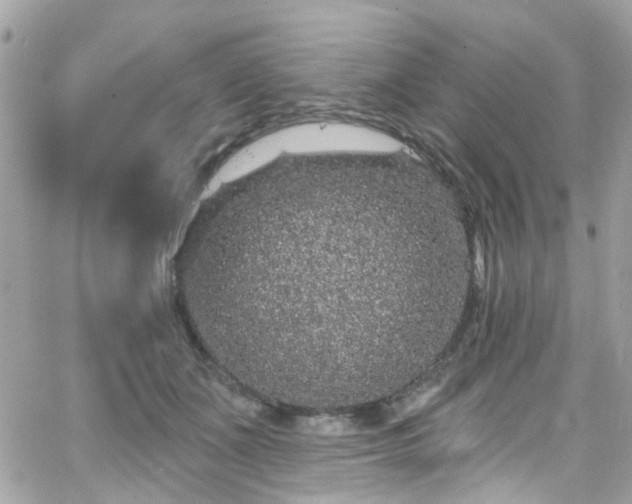 X0000066530511200603241405