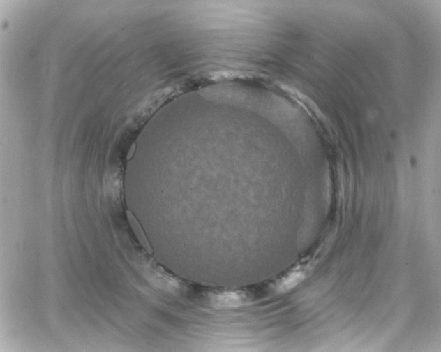 X0000066530513200603241405