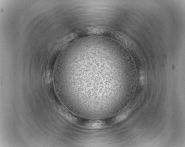 X0000066530514200603241405