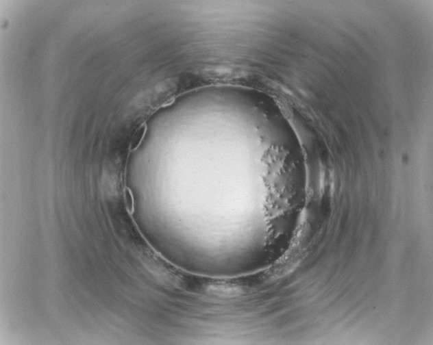 X0000066530515200603241405