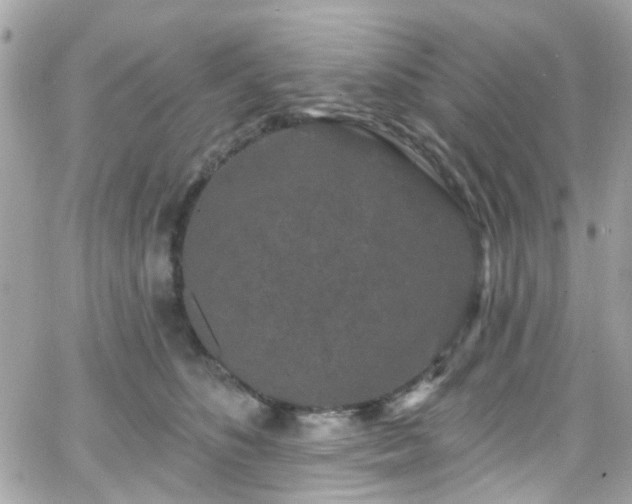 X0000066530516200603241405