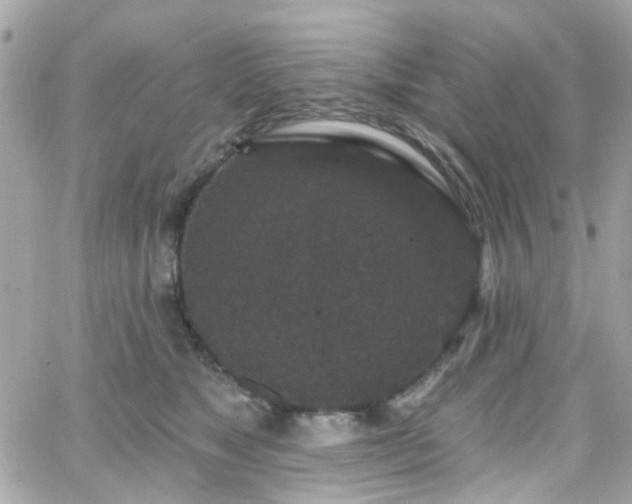 X0000066530517200603241405