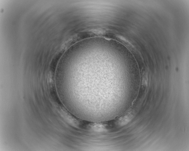 X0000066530518200603241405