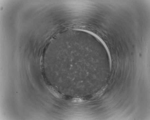 X0000066530519200603241405