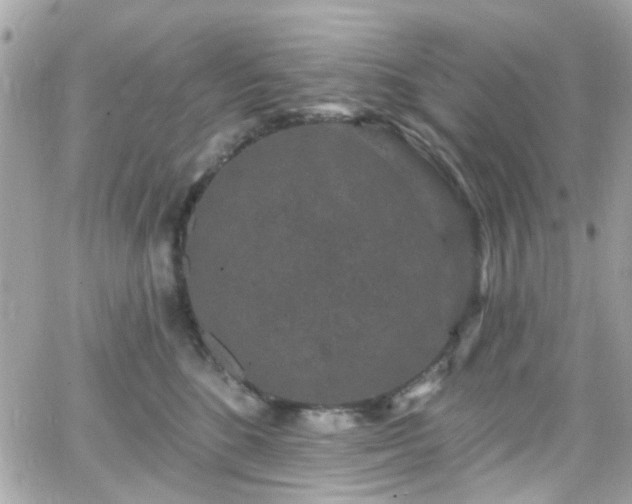 X0000066530520200603241405