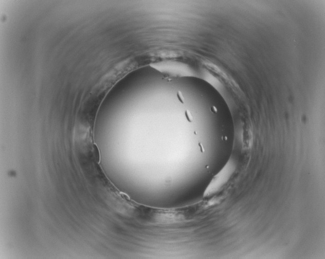 X0000066530521200603241405