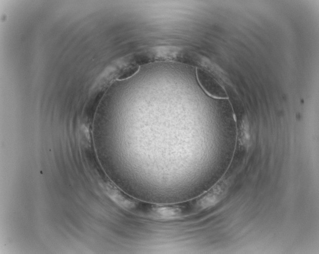 X0000066530522200603241405