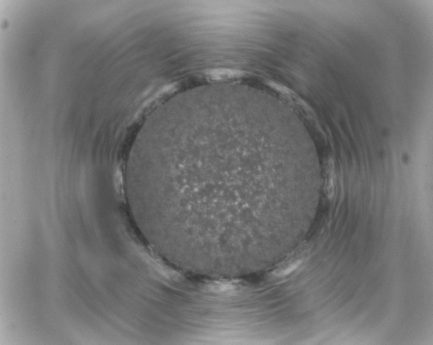 X0000066530523200603241405