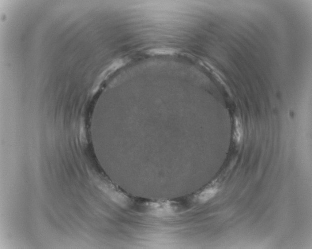 X0000066530524200603241405