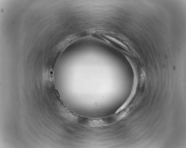 X0000066530525200603241405