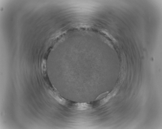 X0000066530528200603241405