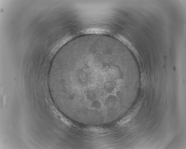 X0000066530529200603241404