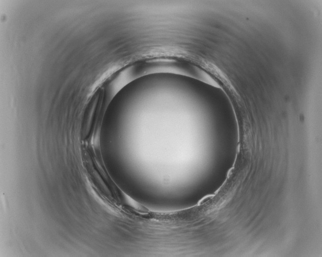 X0000066530530200603241404