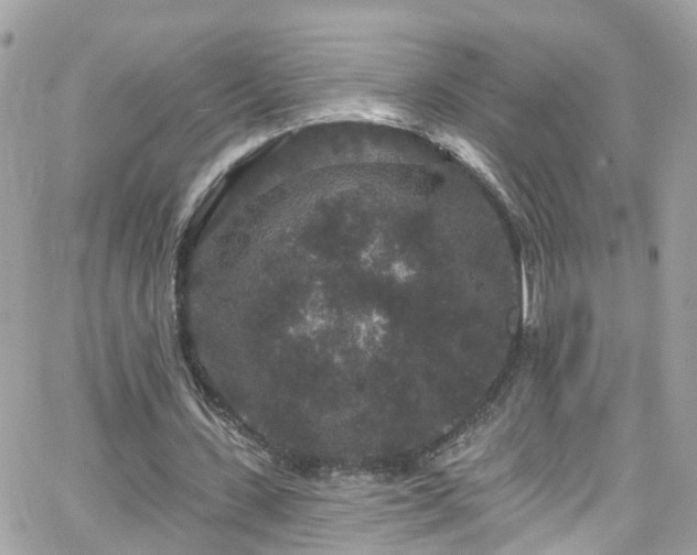 X0000066530531200603241404